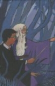 Harry Potter, Tome 6 : Harry Potter et le Prince de Sang-M�l� : Edition de luxe