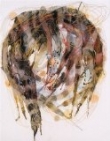 Ceccarelli