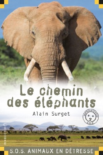 Le chemin des �lephants
